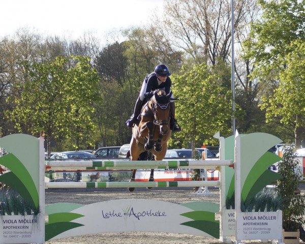 jumper Narnia's Beste (Oldenburg, 2012, from Zapateado 128 FIN)
