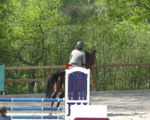 Reitturnier Alvern 2023