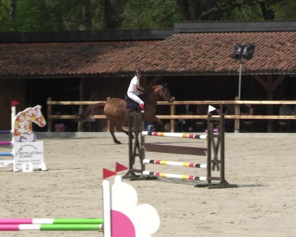 Reitturnier Alvern 2023