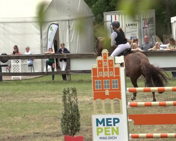 Reitturnier Meppen 2023