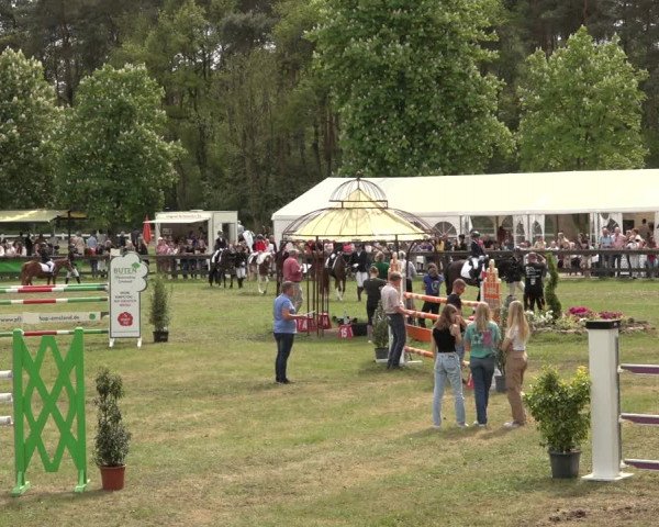 Reitturnier Meppen 2023