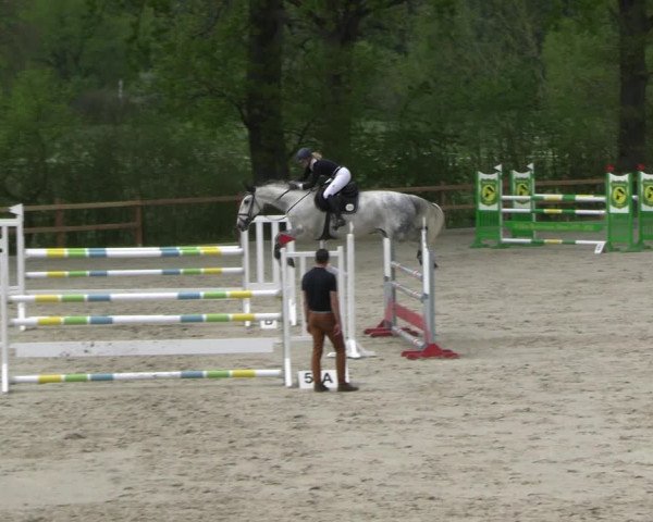 Reitturnier Alvern 2023
