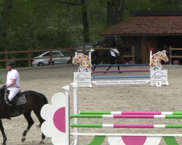 Reitturnier Alvern 2023