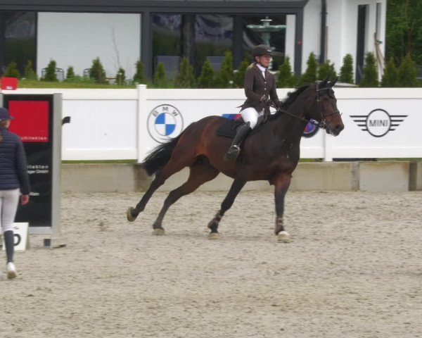 Reitturnier Babenhausen 2023