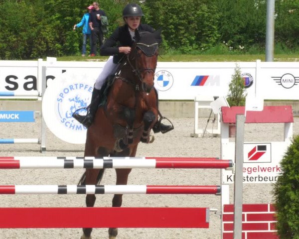 Reitturnier Babenhausen 2023