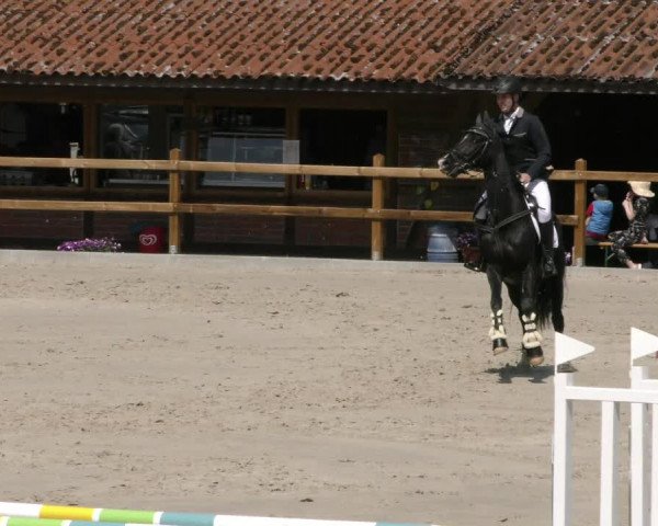 Reitturnier Alvern 2023