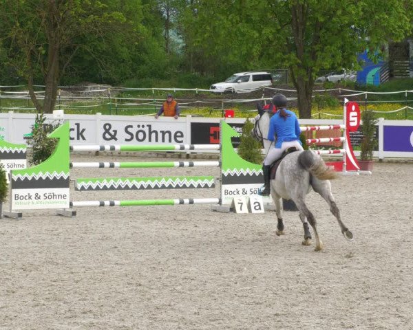 Reitturnier Babenhausen 2023