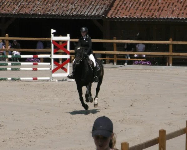 Reitturnier Alvern 2023