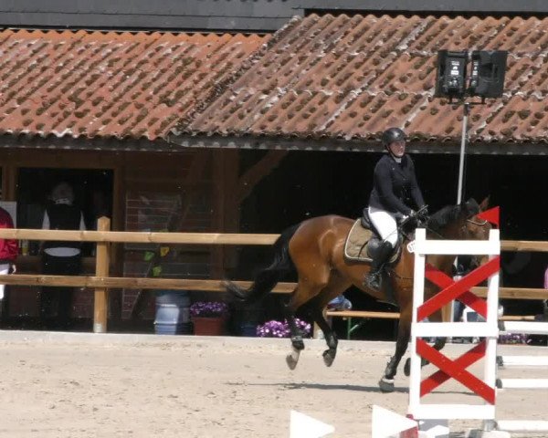 Reitturnier Alvern 2023