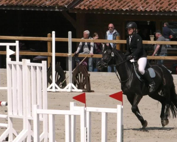 Reitturnier Alvern 2023