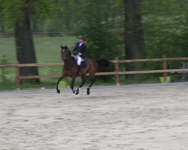 Reitturnier Alvern 2023