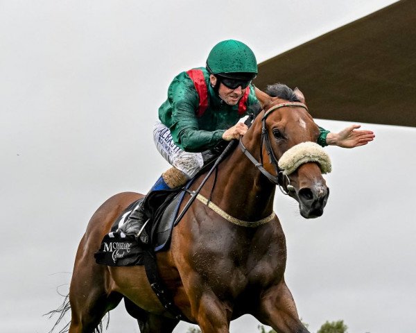 broodmare Tahiyra xx (Thoroughbred, 2020, from Siyouni xx)