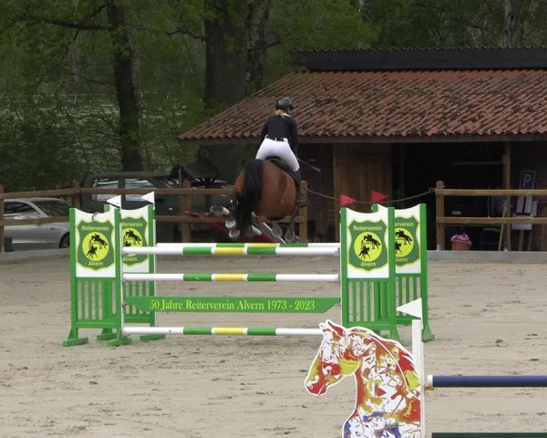 Reitturnier Alvern 2023