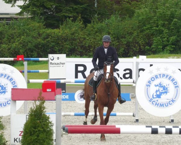 Reitturnier Babenhausen 2023