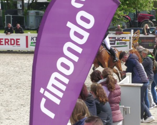 Reitturnier Babenhausen 2023