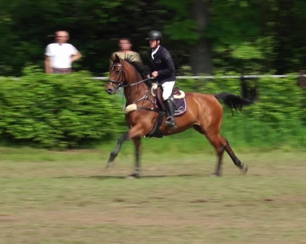 Reitturnier Jülich 2023