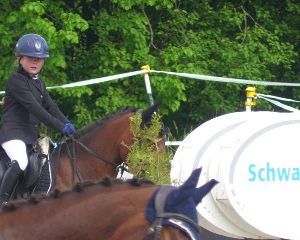 Reitturnier Babenhausen 2023