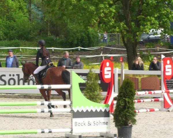 Reitturnier Babenhausen 2023