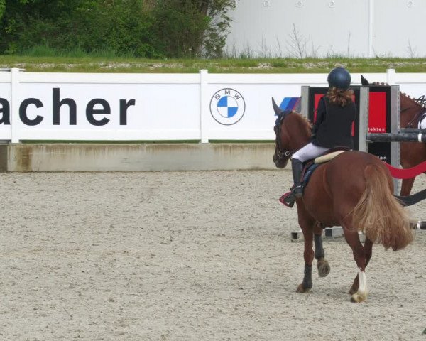 Reitturnier Babenhausen 2023