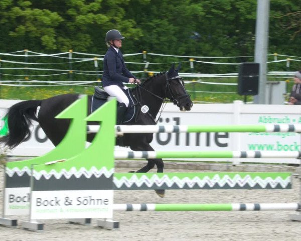 Reitturnier Babenhausen 2023