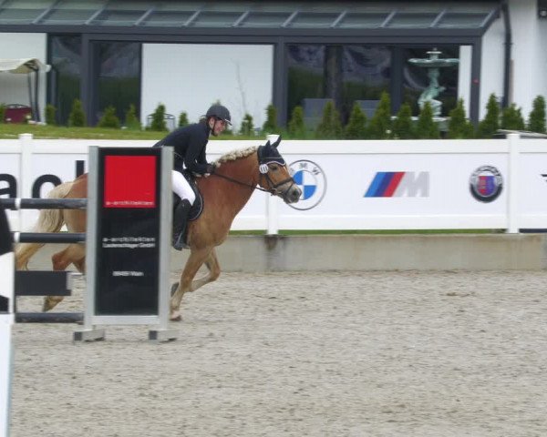 Reitturnier Babenhausen 2023