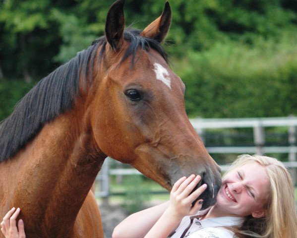 dressage horse Cashew W (Hanoverian, 2010, from Conteur)