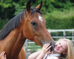 dressage horse Cashew W (Hanoverian, 2010, from Conteur)
