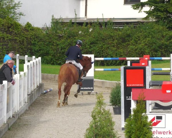 Reitturnier Babenhausen 2023