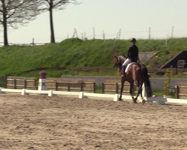 Reitturnier Schülp / Rendsburg 2023