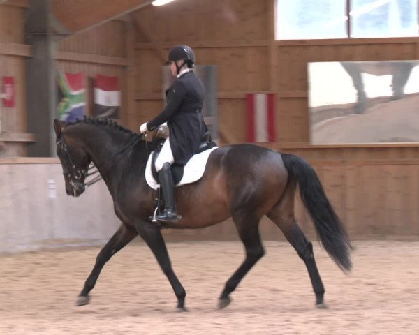 Reitturnier Ranzenbach 2023