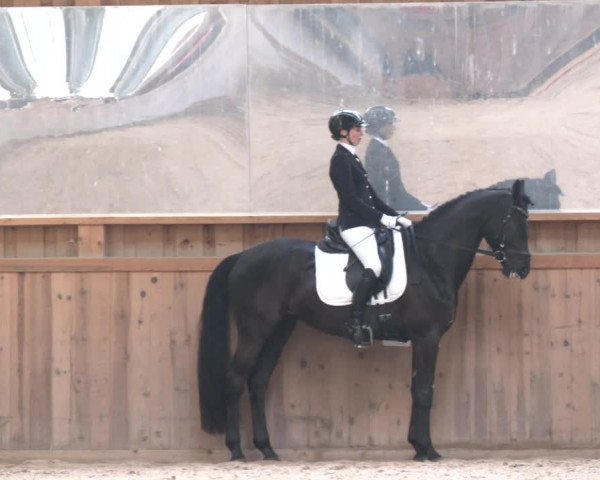 Reitturnier Ranzenbach 2023