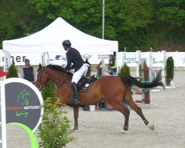 Reitturnier Babenhausen 2023