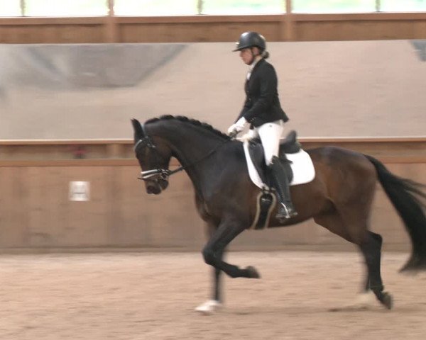 Reitturnier Ranzenbach 2023