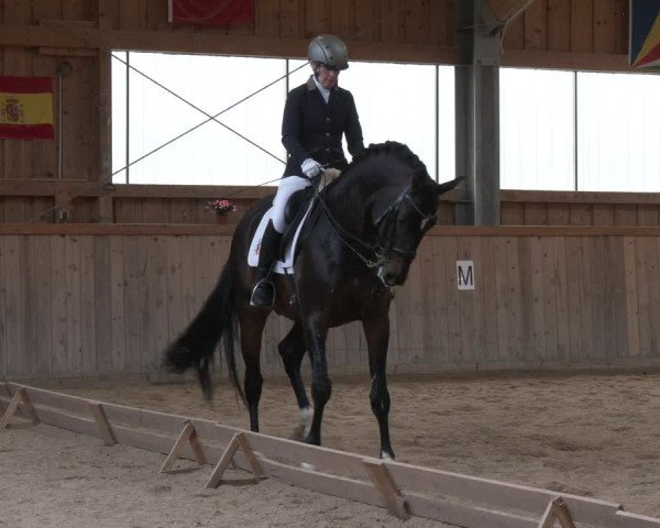 Reitturnier Ranzenbach 2023
