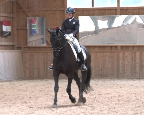 Reitturnier Ranzenbach 2023