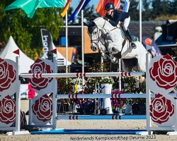 jumper Etoile de Beliard (Selle Français, 2014, from Upsilon AA)