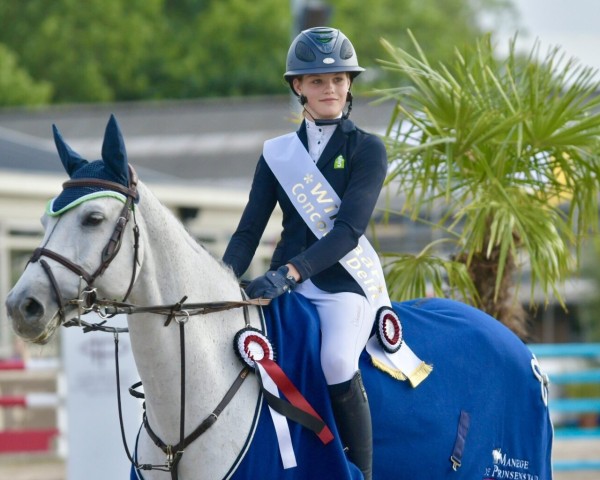 jumper Ilandra (KWPN (Royal Dutch Sporthorse), 2013, from Up To Date)