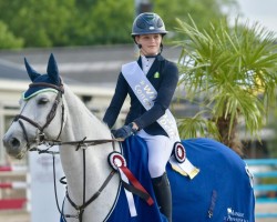 jumper Ilandra (KWPN (Royal Dutch Sporthorse), 2013, from Up To Date)