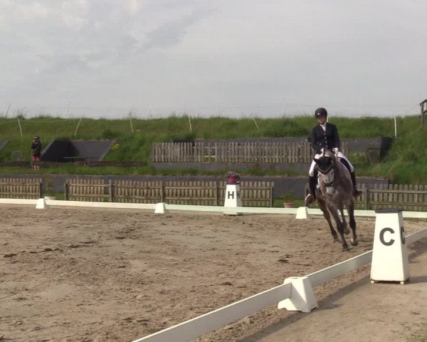 Reitturnier Schülp / Rendsburg 2023