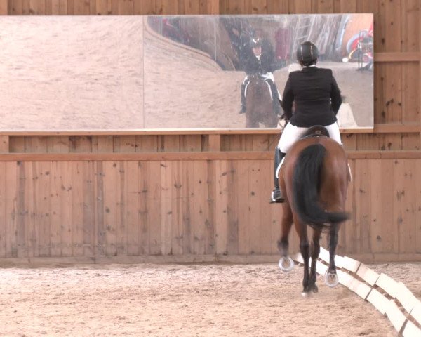 Reitturnier Ranzenbach 2023