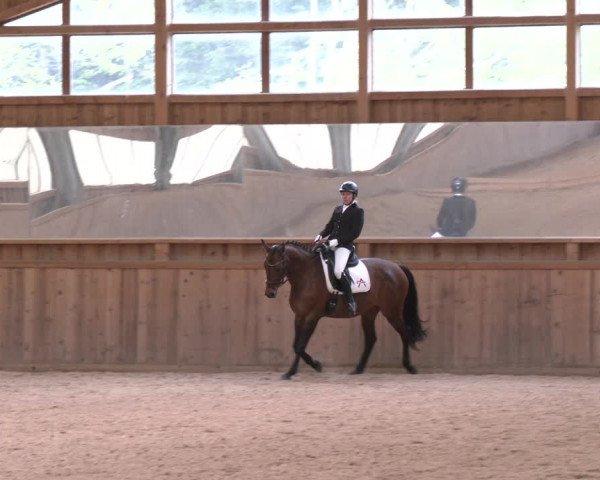 Reitturnier Ranzenbach 2023