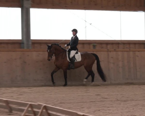 Reitturnier Ranzenbach 2023