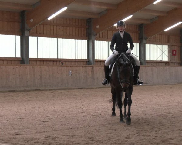 Reitturnier Ranzenbach 2023