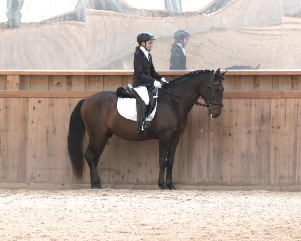 Reitturnier Ranzenbach 2023