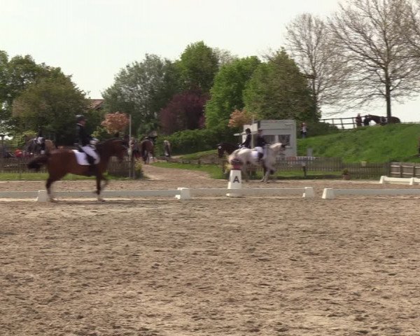 Reitturnier Schülp / Rendsburg 2023