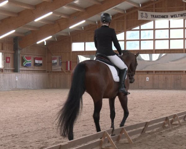 Reitturnier Ranzenbach 2023