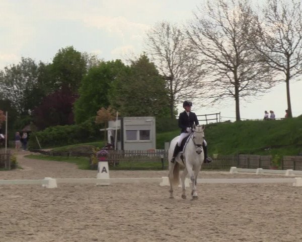 Reitturnier Schülp / Rendsburg 2023
