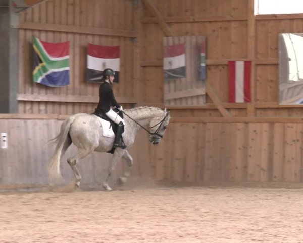 Reitturnier Ranzenbach 2023