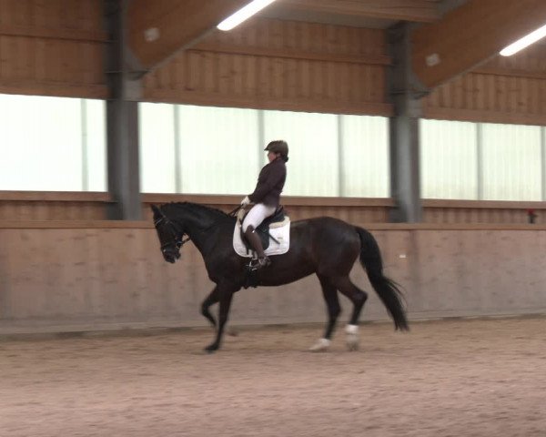 Reitturnier Ranzenbach 2023