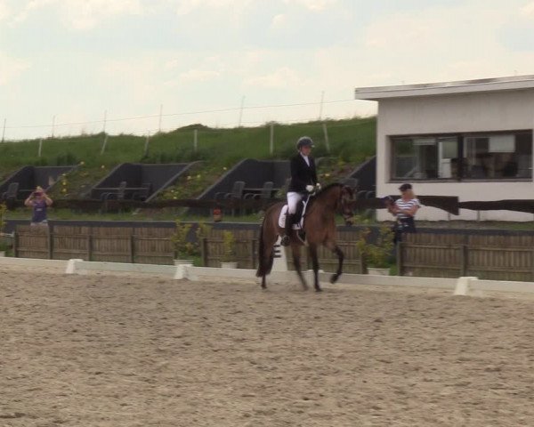 Reitturnier Schülp / Rendsburg 2023